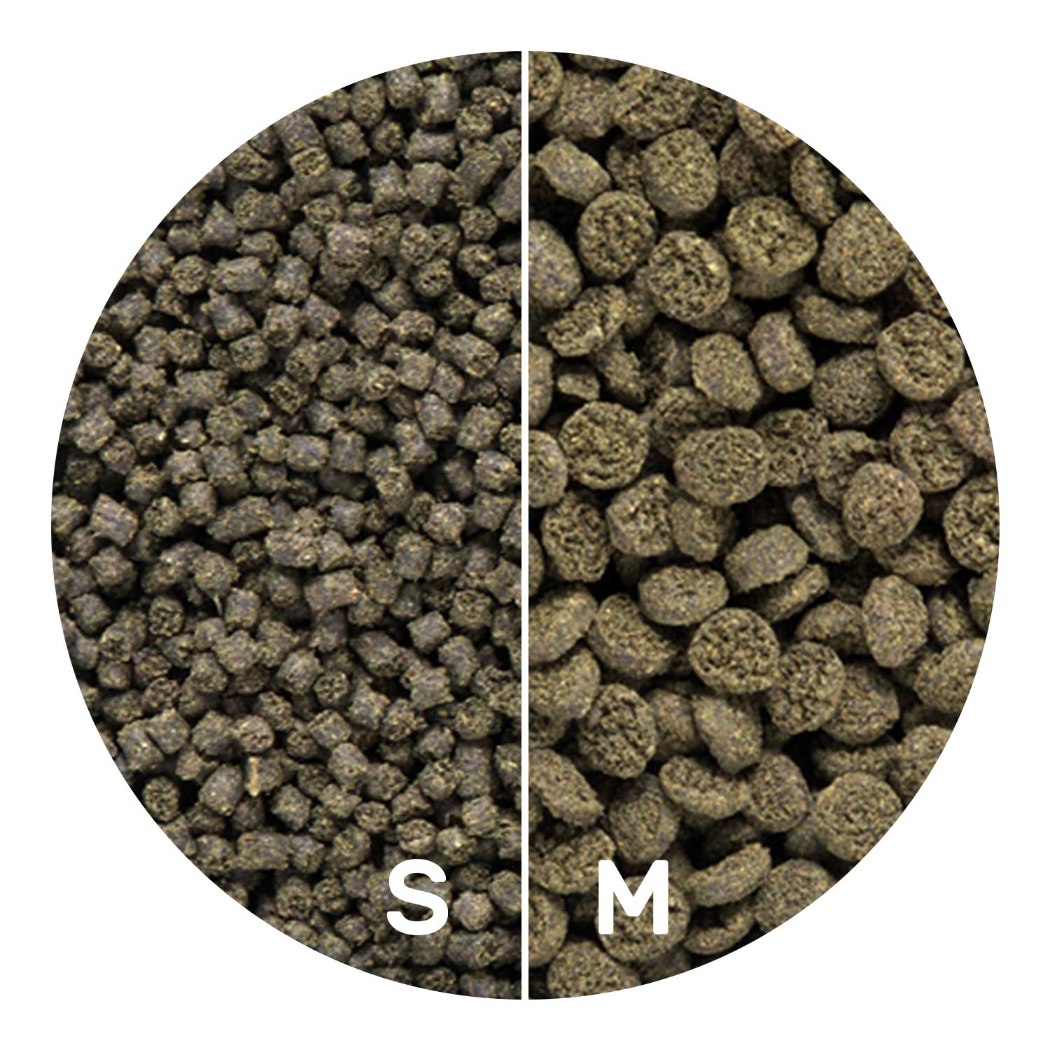 Hikari Seaweed Extreme softens rapidly in water for quick consumption.