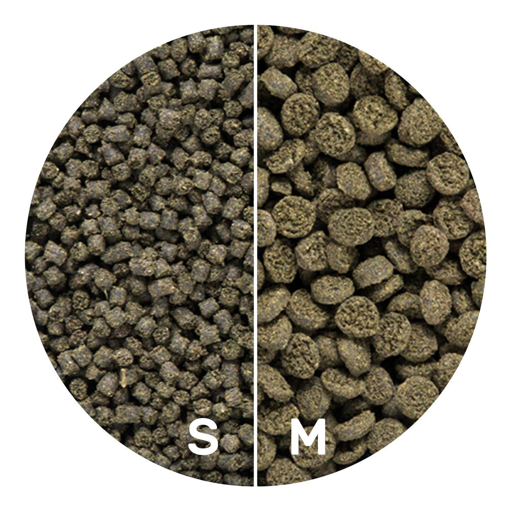 Hikari Seaweed Extreme softens rapidly in water for quick consumption.