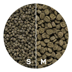 Hikari Seaweed Extreme softens rapidly in water for quick consumption.