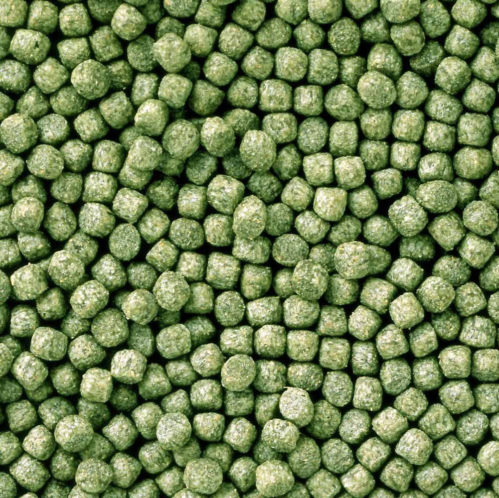 Hikari Staple Koi Food mini pellets close-up shows color-preserving formula