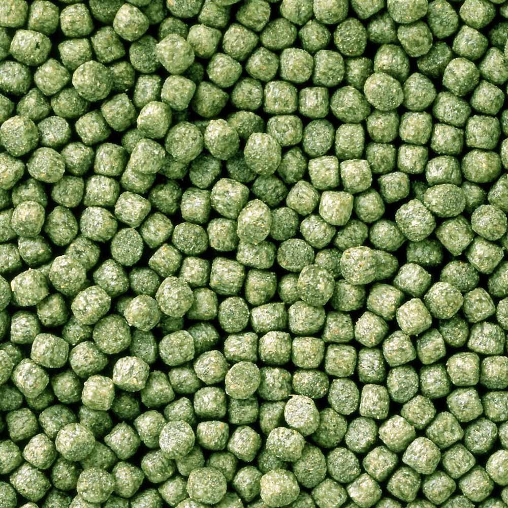 Hikari Staple Koi Food mini pellets close-up shows color-preserving formula