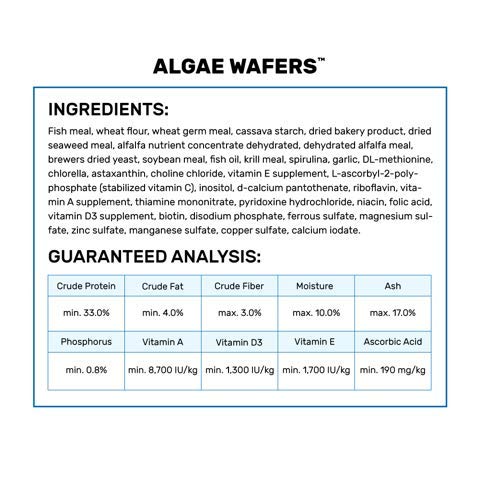 Hikari tropical algae wafer contains spirulina-rich ingredients for algae eaters.