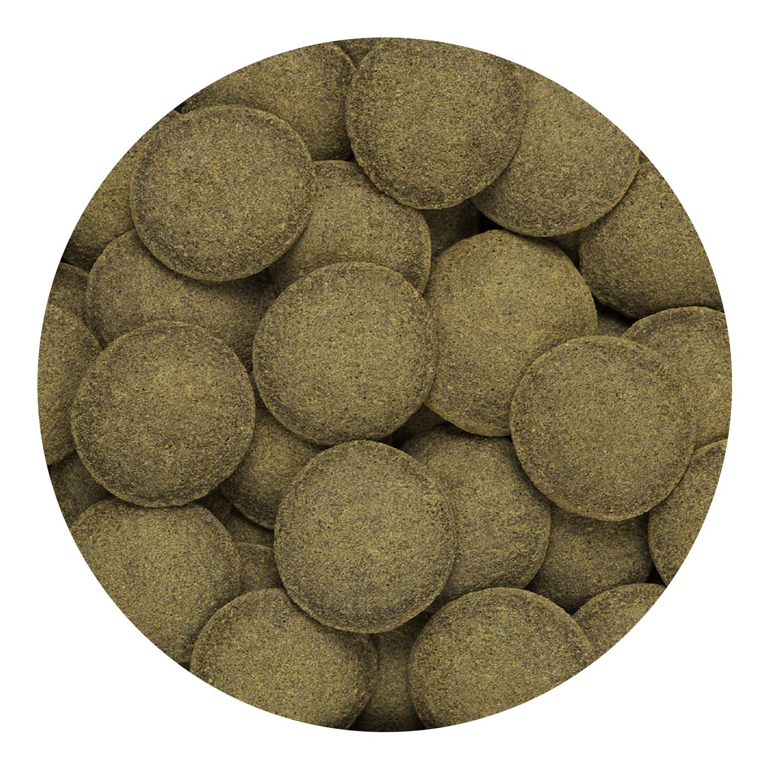 Hikari tropical algae wafer is high in stabilized vitamin C for resilience.