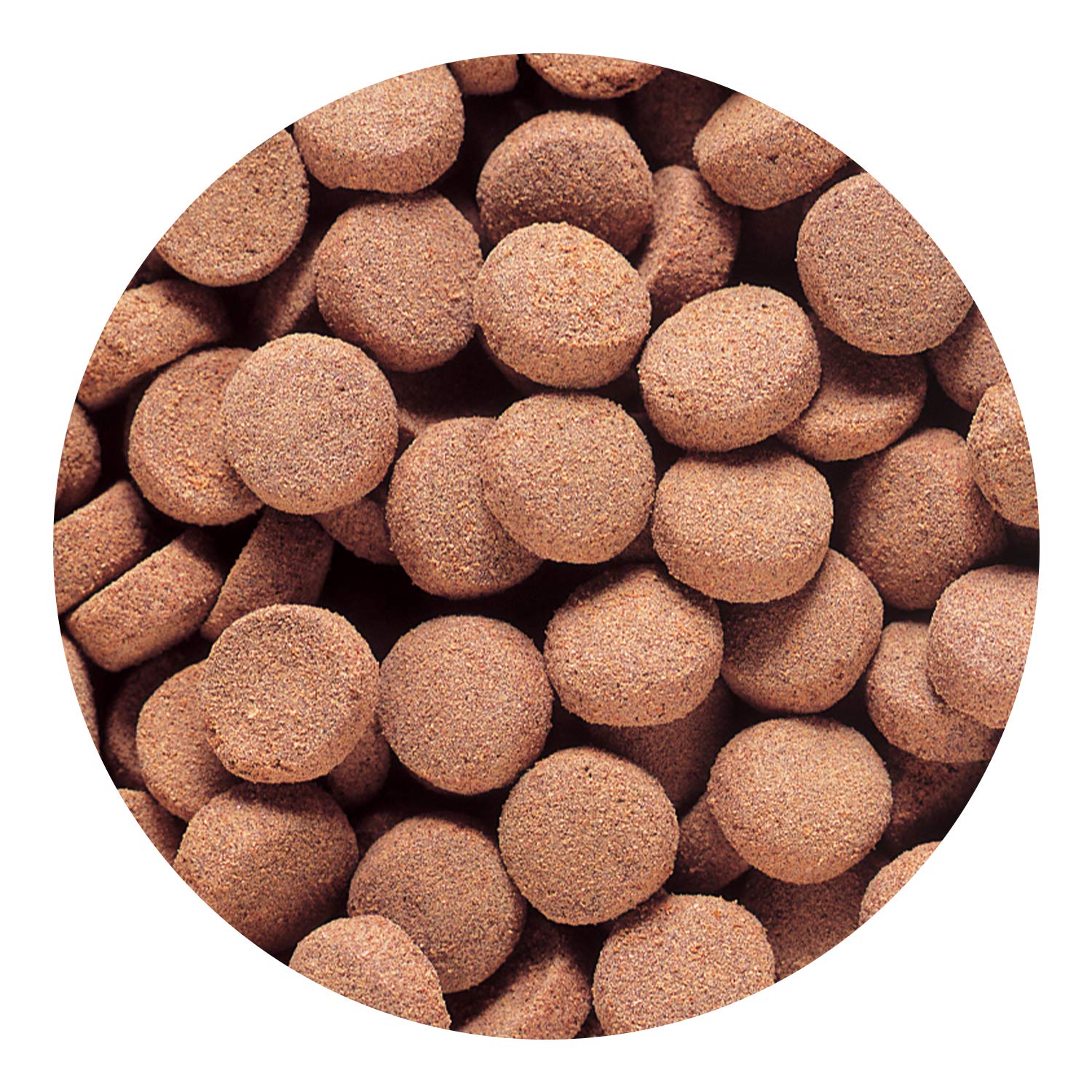 Hikari Tropical Massivore Delite fuels color boost in carnivorous fish with carotenoids.