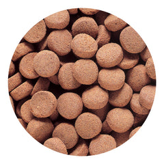 Hikari Tropical Massivore Delite fuels color boost in carnivorous fish with carotenoids.