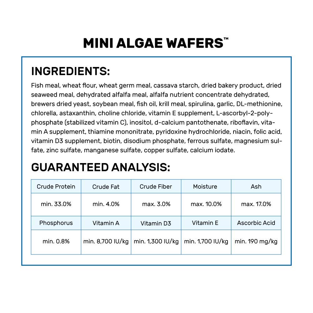 Hikari Tropical Mini Algae Wafers discs ready for sinking feeding.