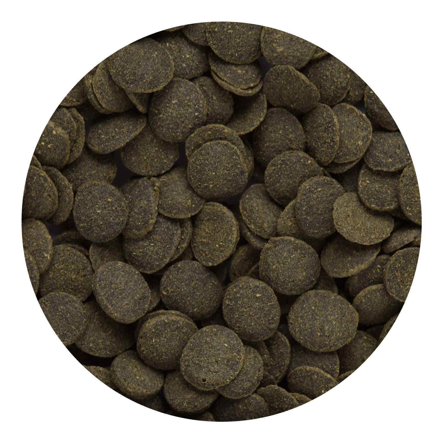 Hikari wafers sinking in aquarium for bottom-dweller nutrition.