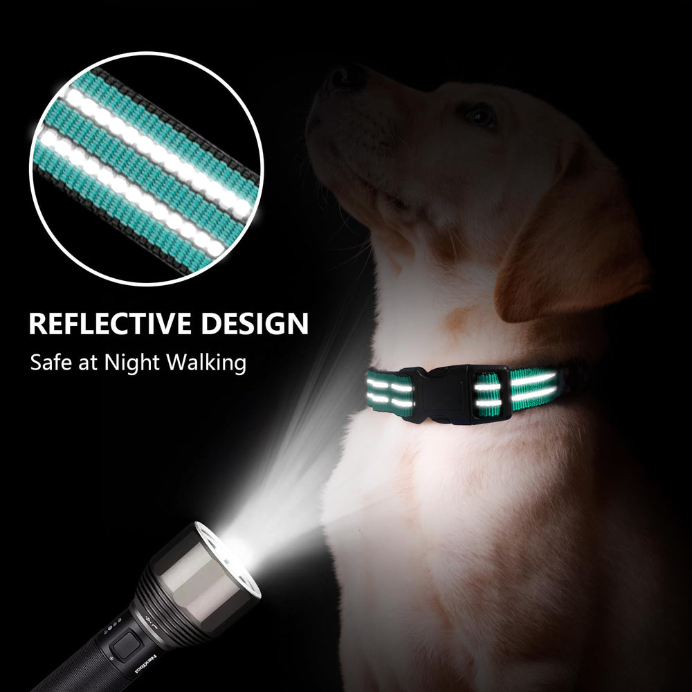 Collar Hikiko con cierre de liberación rápida facilita colocar y retirar, ideal para seguridad.
