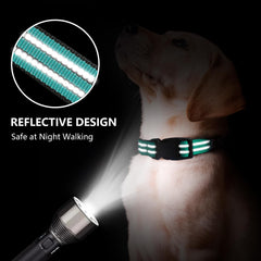 Collar Hikiko con cierre de liberación rápida facilita colocar y retirar, ideal para seguridad.