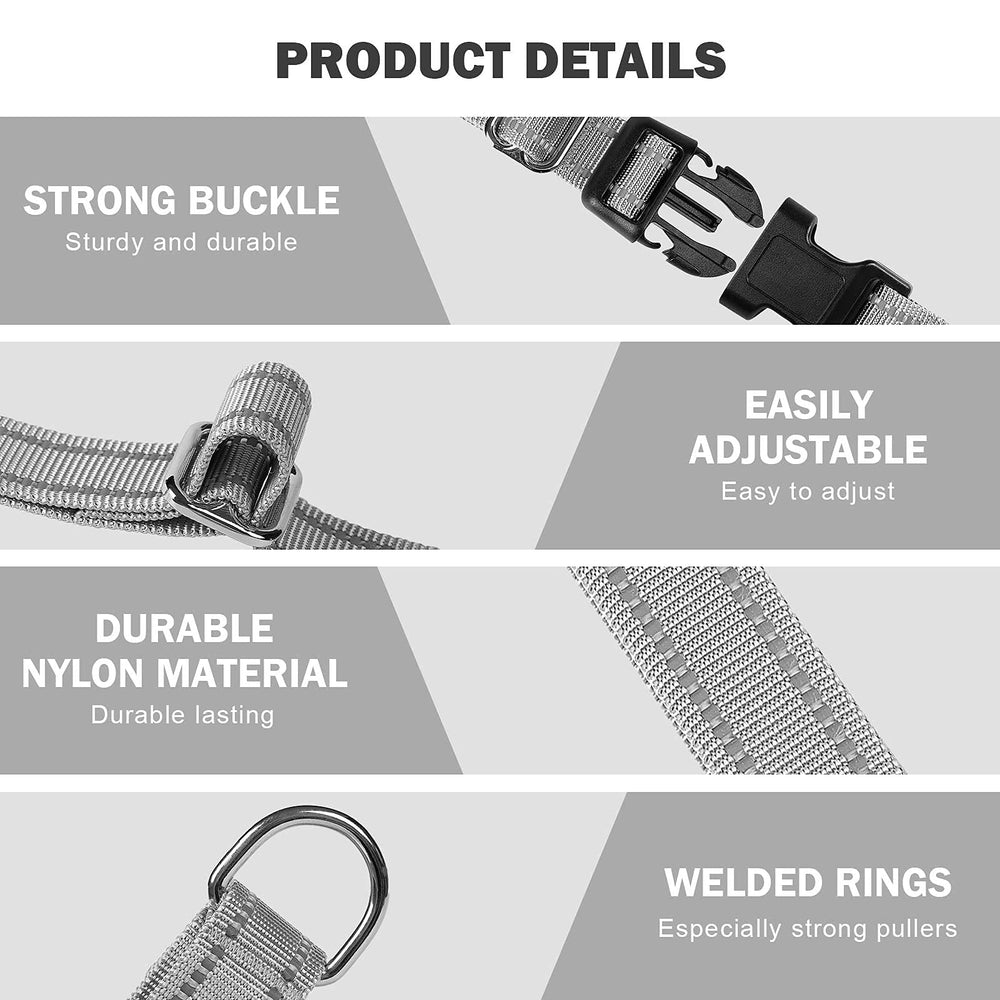 Hikiko durable nylon webbing collar withstands regular pulling and training sessions.
