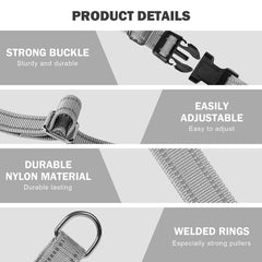Hikiko durable nylon webbing collar withstands regular pulling and training sessions.