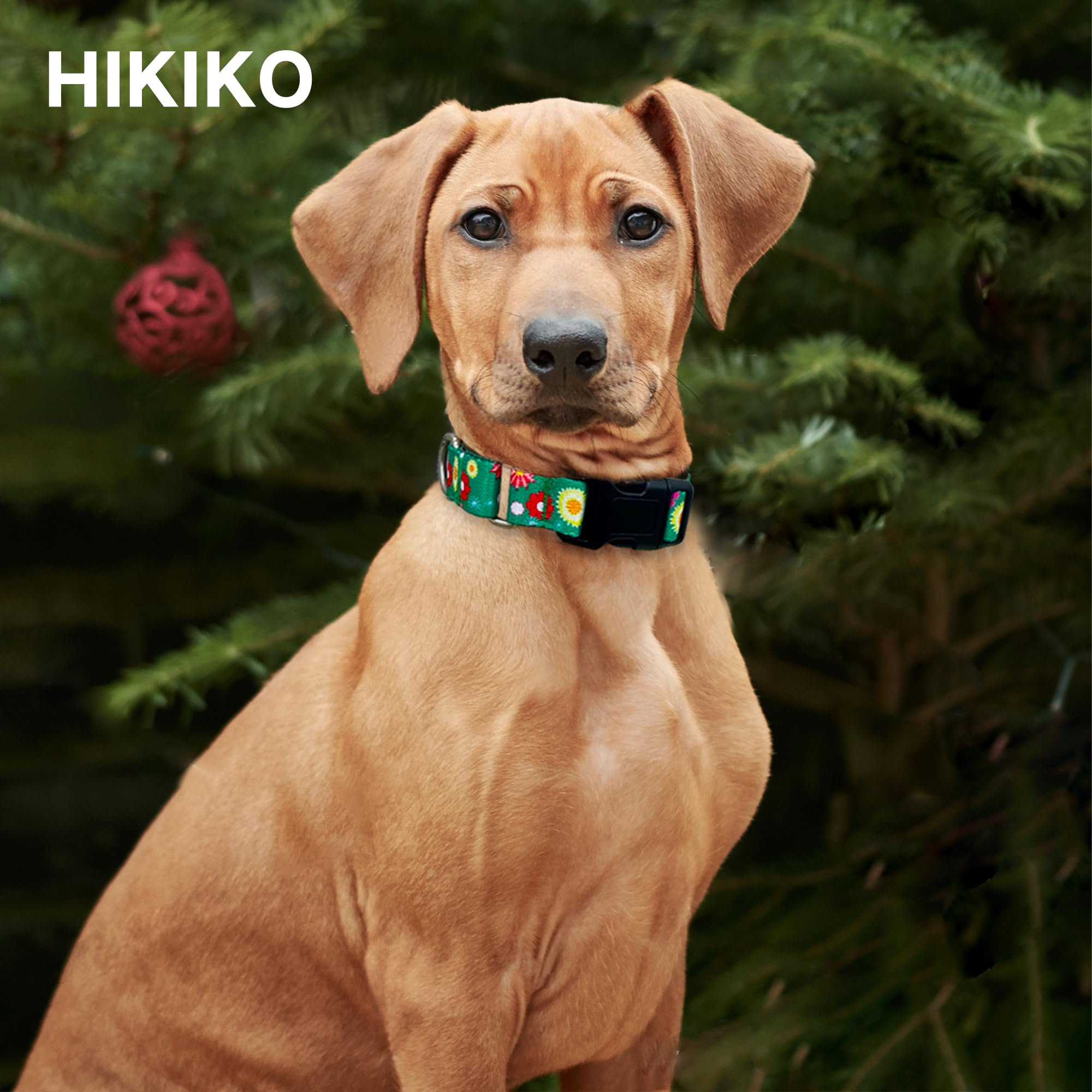 Hikiko martingale collar adjustable patterns close-up shows secure fit and stylish design