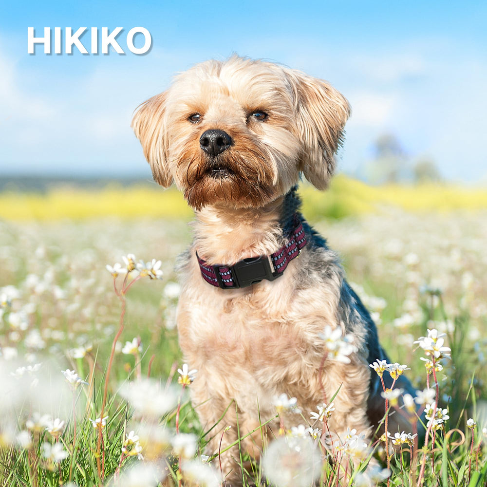 Hikiko martingale collar adjustable size chart fit over head.