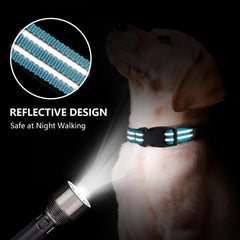 Hikiko Martingale Collar adjustable sizes ensure proper fit.