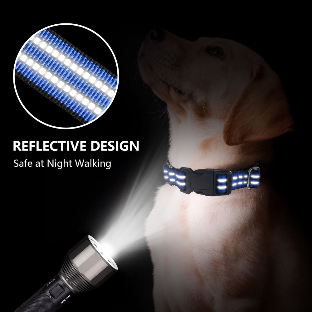 Hikiko Martingale Collar Blue adjustable buckle demonstrates quick on/off and secure fit.