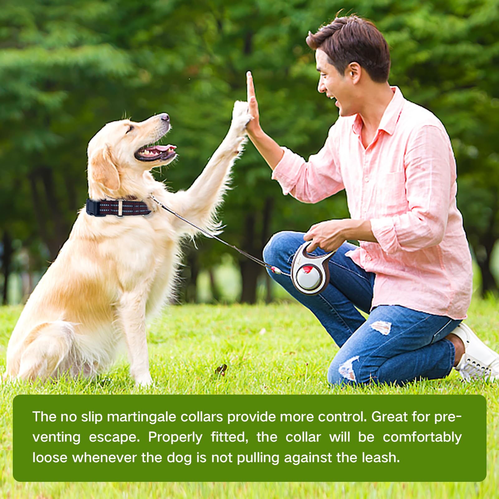 Hikiko Martingale Collar designed for daily wear and training