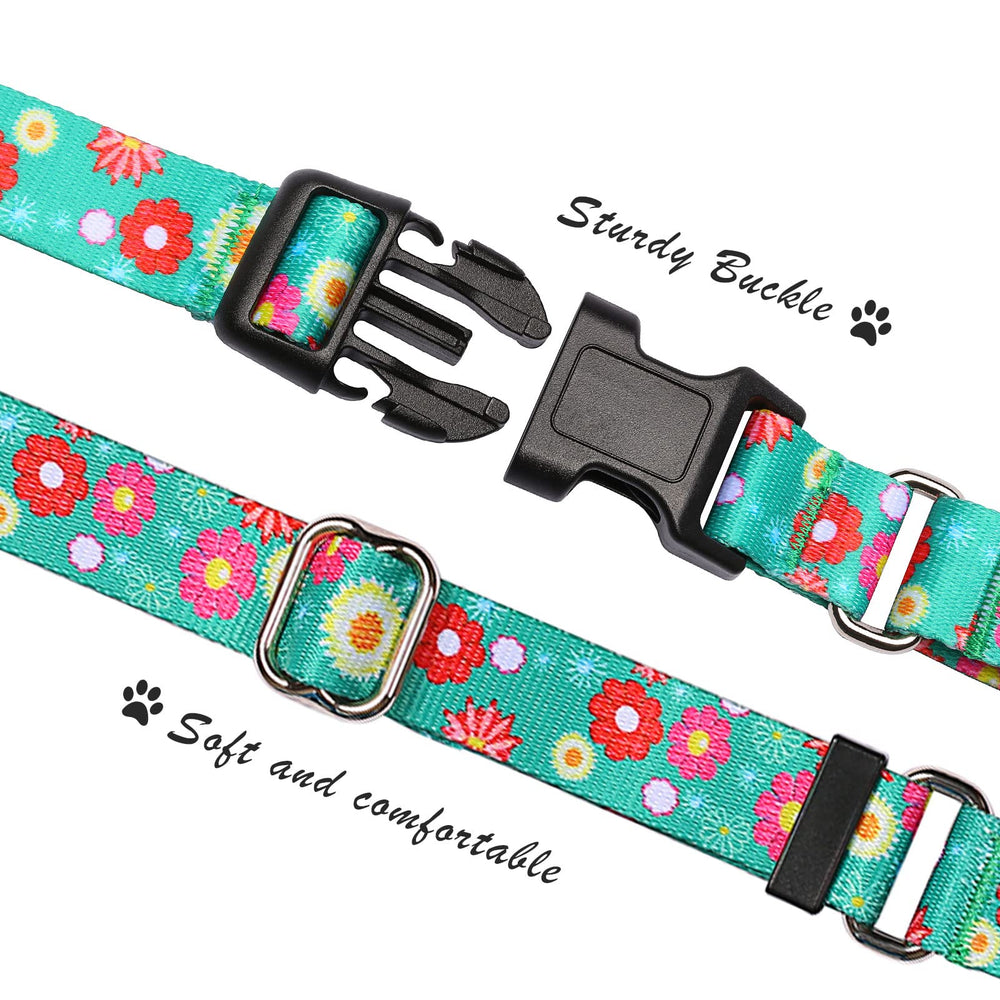 Hikiko martingale collar durable hardware close-up highlights strong construction