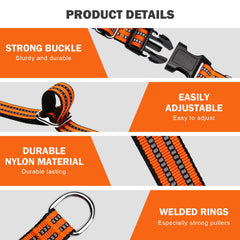 Hikiko durable nylon collar withstands daily wear and training sessions.