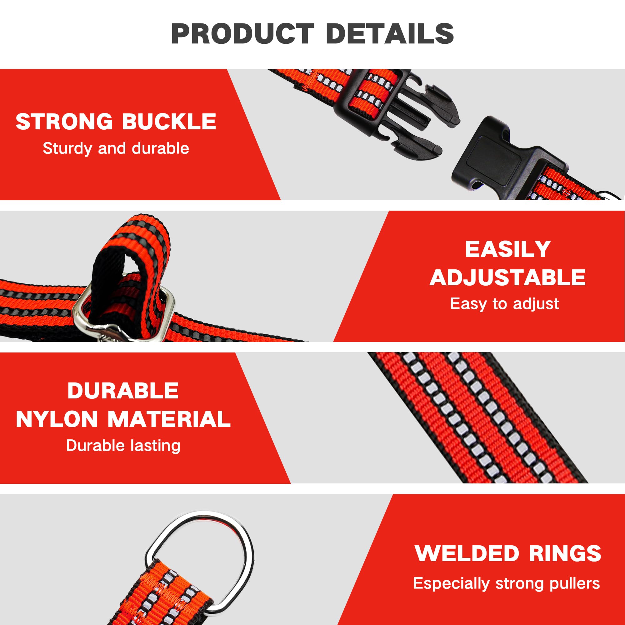 Hikiko Martingale collar shows durable nylon and heavy hardware for daily training.