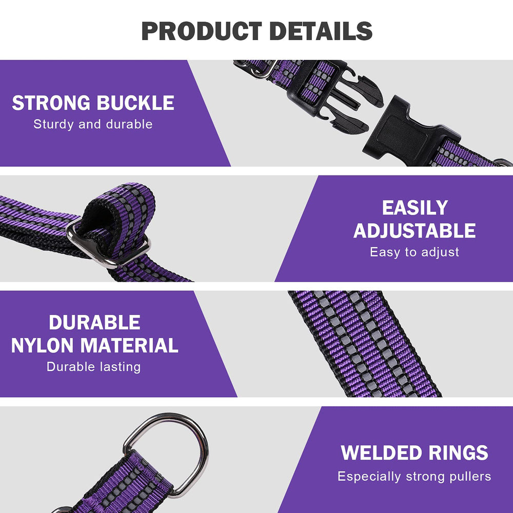 Hikiko Martingale Collar purple durable nylon with tough hardware.