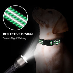 Hikiko adjustable Martingale collar demonstrates secure fit during training sessions.