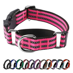 Hikiko martingale collar in hot pink on dog's neck for night visibility