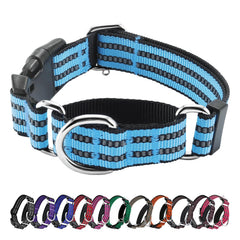 Hikiko martingale collar light blue front view for gentle training and everyday safety