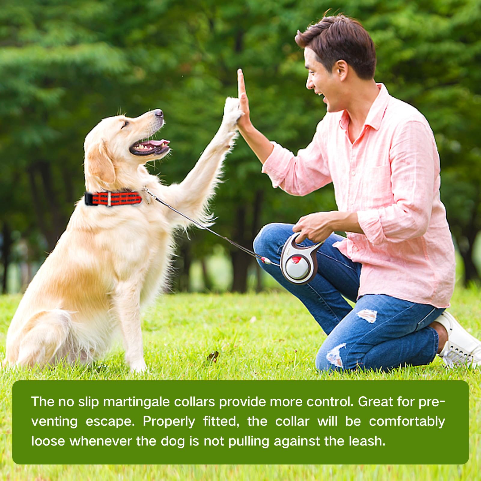 Hikiko martingale collar night-visibility image supports safer evening strolls.