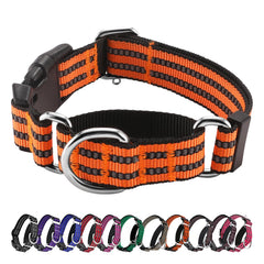Hikiko Martingale collar in orange nylon offers high visibility during daytime walks.