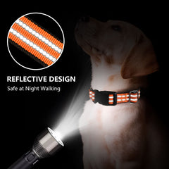 Hikiko martingale collar orange adjustable strap demonstrates secure training fit