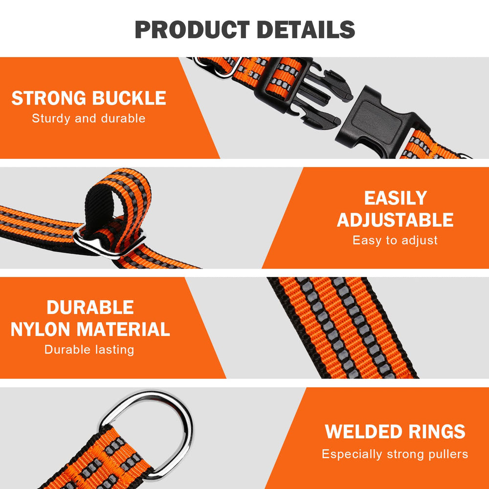 Hikiko martingale collar orange on dog during a walk for safety and control