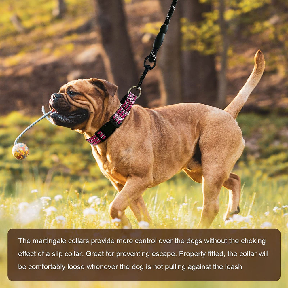 Hikiko pink adjustable martingale collar enabling secure training