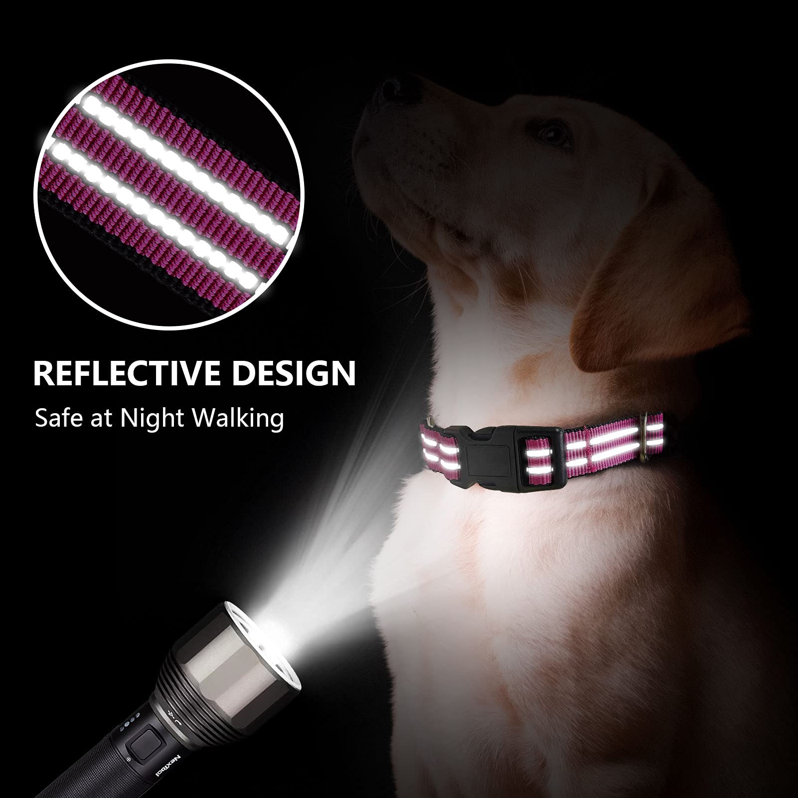 Hikiko martingale collar pink reflective strip for nighttime visibility.