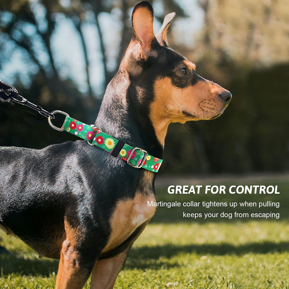 Hikiko martingale collar quick-release buckle demonstrates easy emergency removal