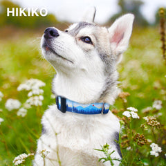 Hikiko Martingale Collar features a quick-release buckle for safe, fast removal.
