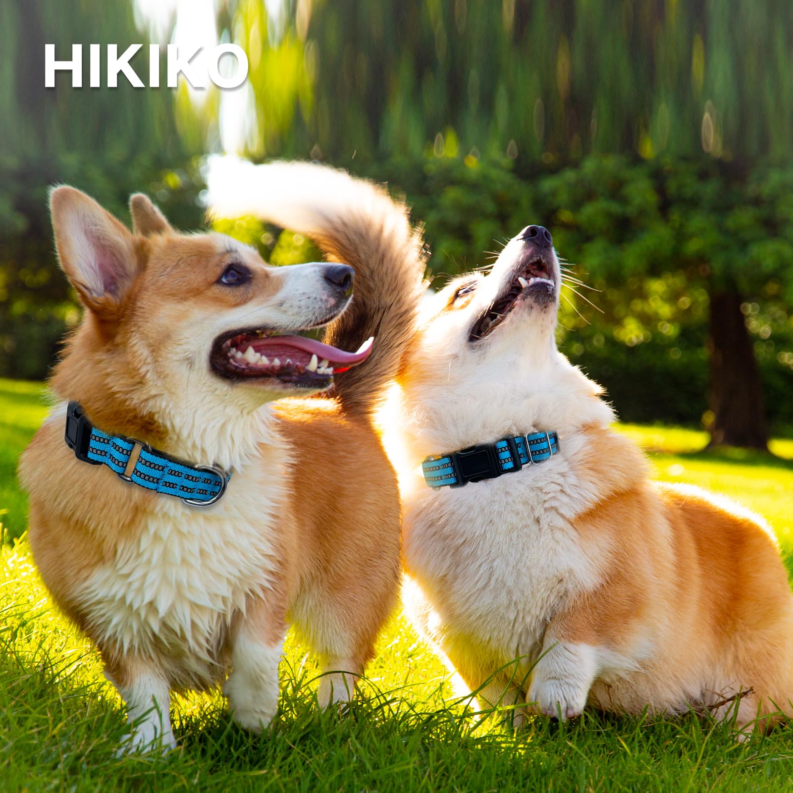 Hikiko Martingale Collar with quick-release buckle for easy removal.
