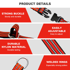 Hikiko martingale collar quick-release-buckle demonstrates emergency-access convenience for quick removal.