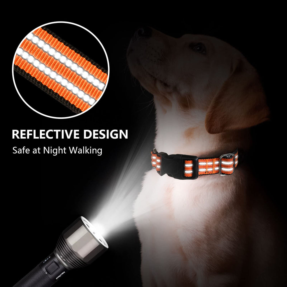 Hikiko reflective dog collar glows at night for safer night walks.