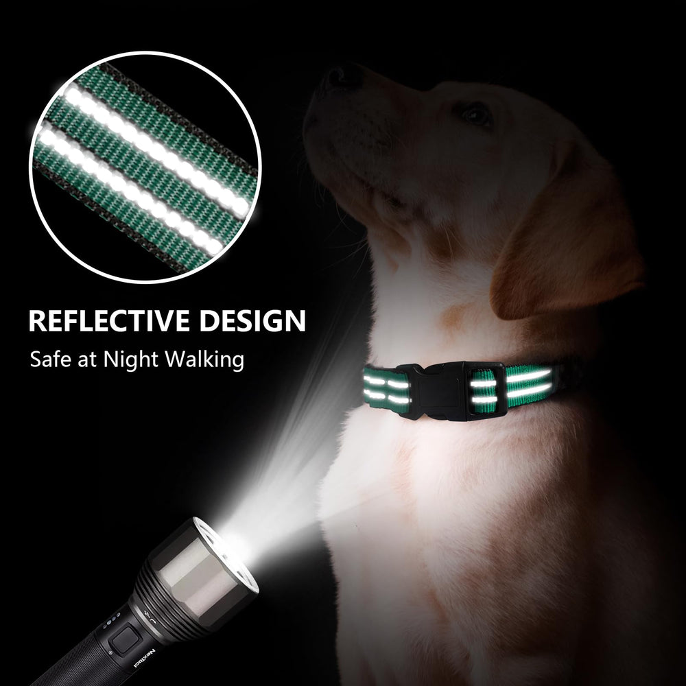 Hikiko martingale collar reflective strip for safer night walks