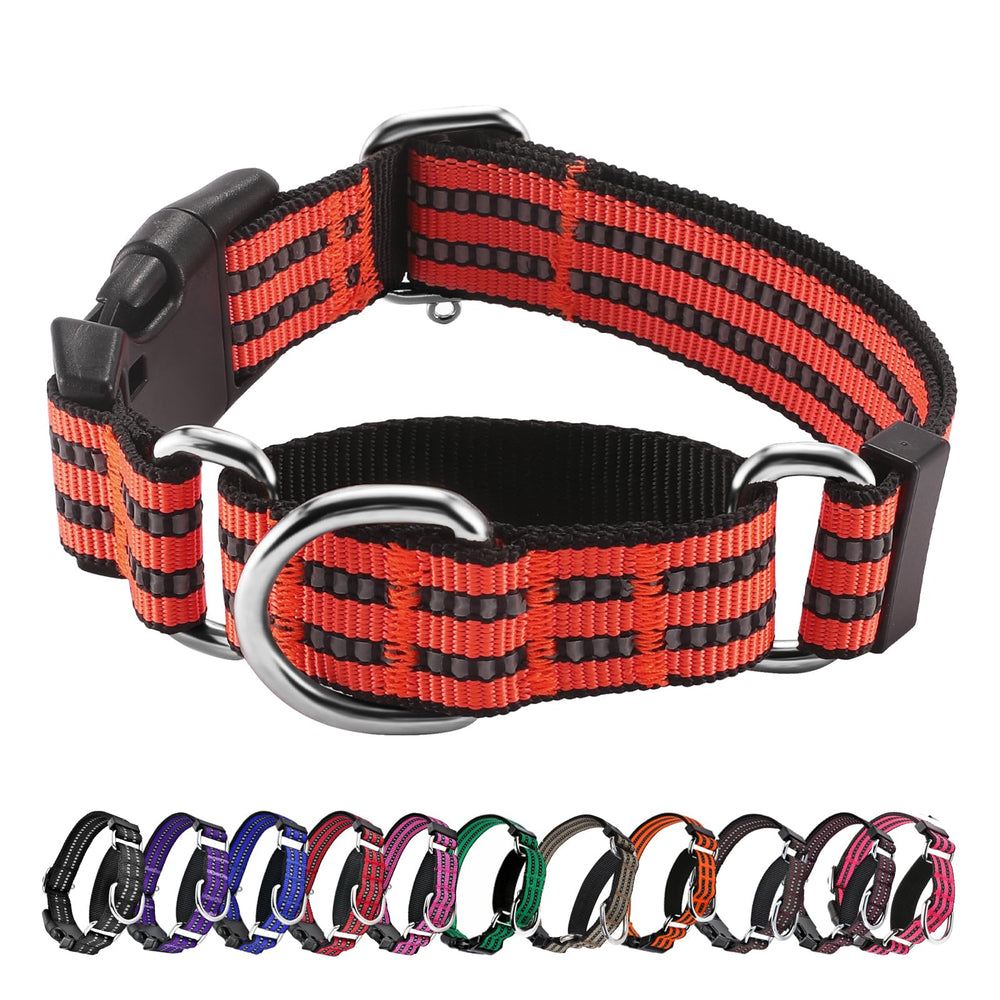 Hikiko martingale collar with reflective Tangerine finish improves night visibility during walks.