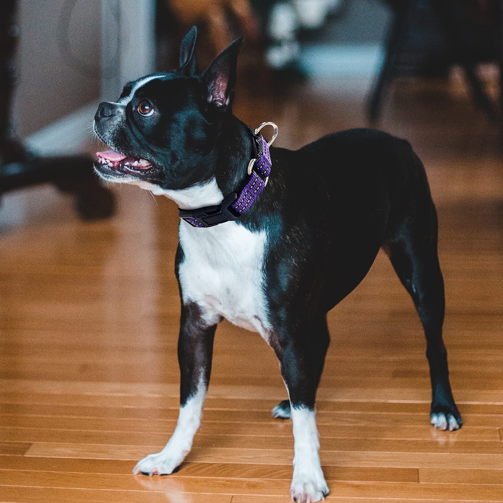 Hikiko Martingale collar size chart demonstrates easy, secure fitting