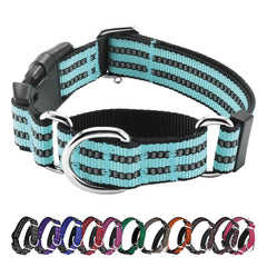 Hikiko martingale collar sky blue buckle close-up shows secure control for training.