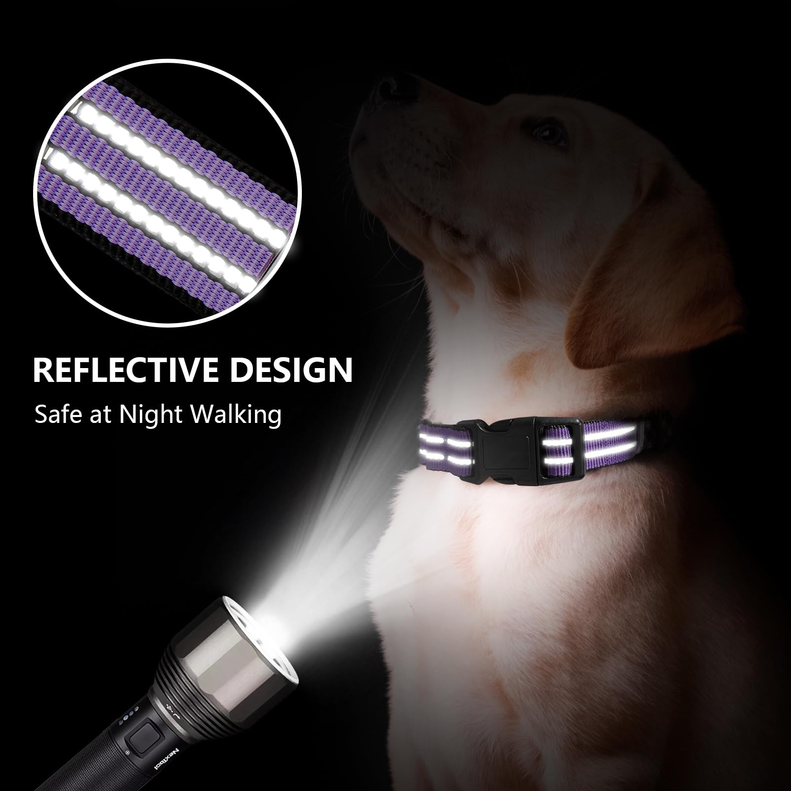 Hikiko martingale collar shows durable soft nylon construction.