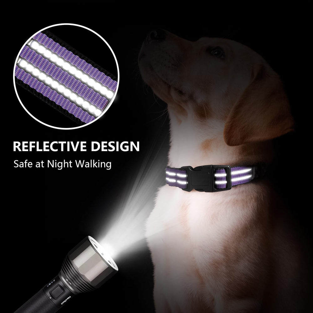 Hikiko martingale collar shows durable soft nylon construction.