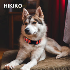 Hikiko martingale collar soft-nylon-material highlights everyday comfort and sturdy construction.