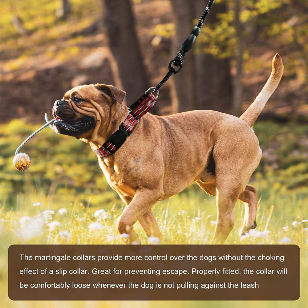 Hikiko martingale collar design endorsed by vets and trainers