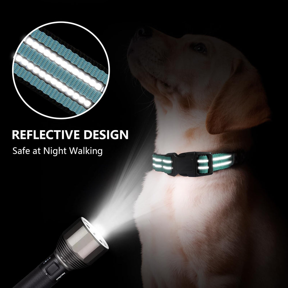 Hikiko Martingale collar reflective strap boosts nighttime visibility for safer walks.