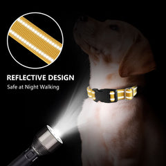 Hikiko martingale dog collar yellow buckle demonstrates quick-release safety