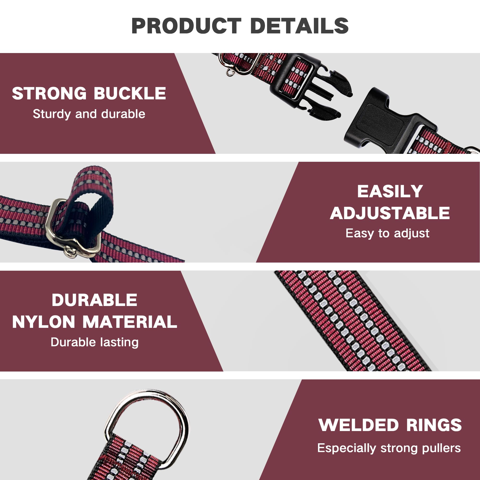 Hikiko quick-release buckle collar demonstrates easy removal for safety.