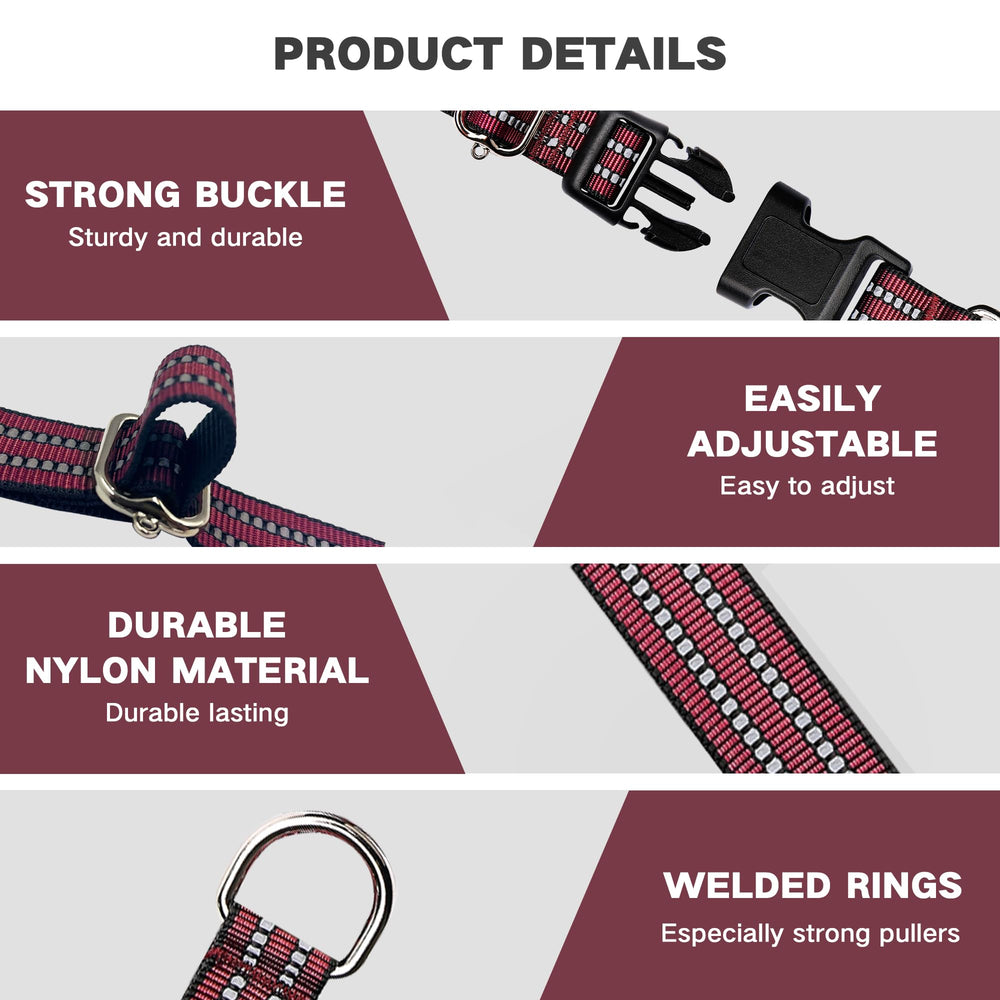 Hikiko quick-release buckle collar demonstrates easy removal for safety.